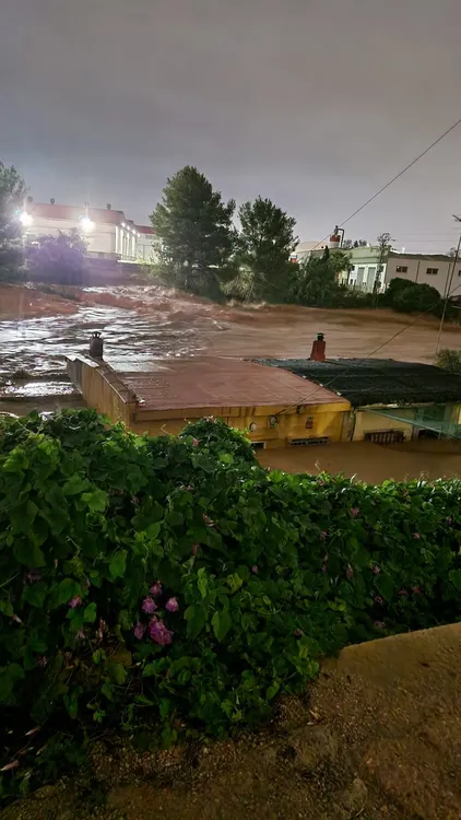 WhatsApp Image 2024-10-30 at 14.47.14